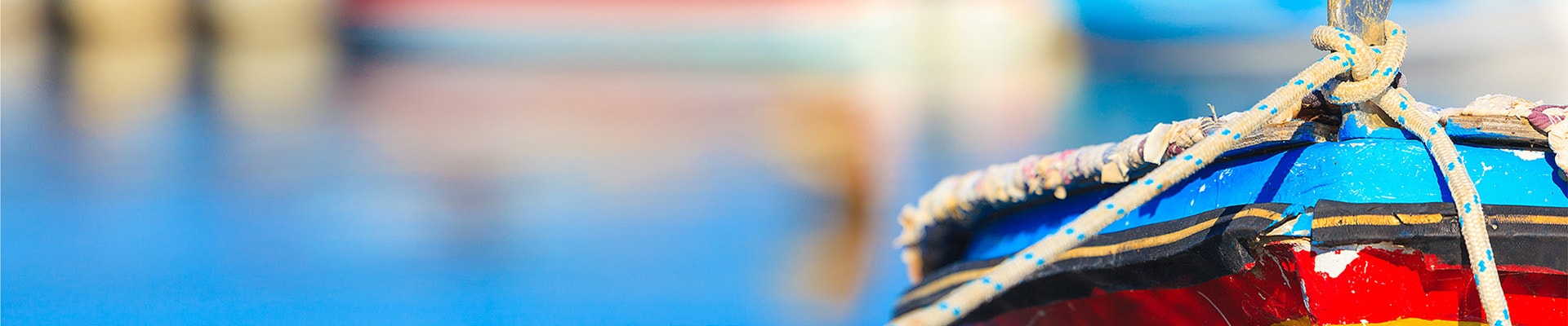 Header Image
