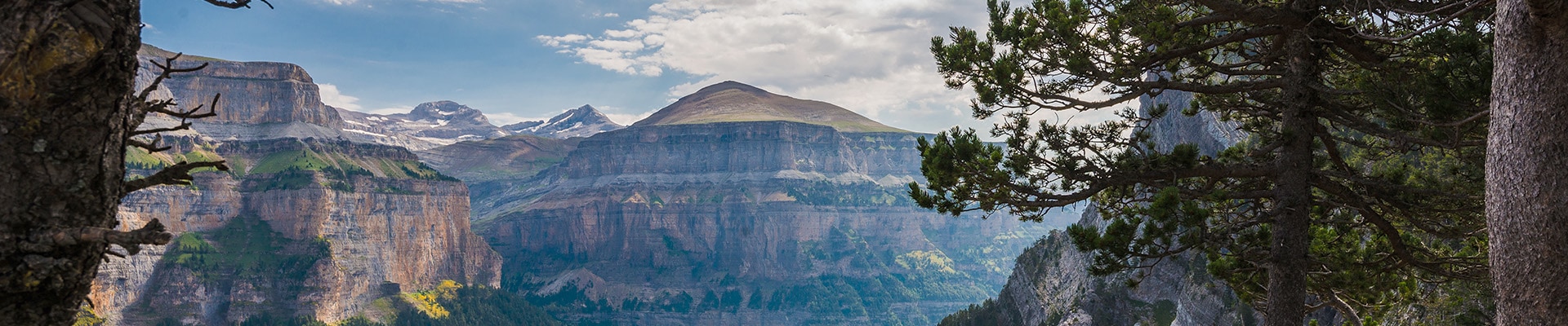 Header Image