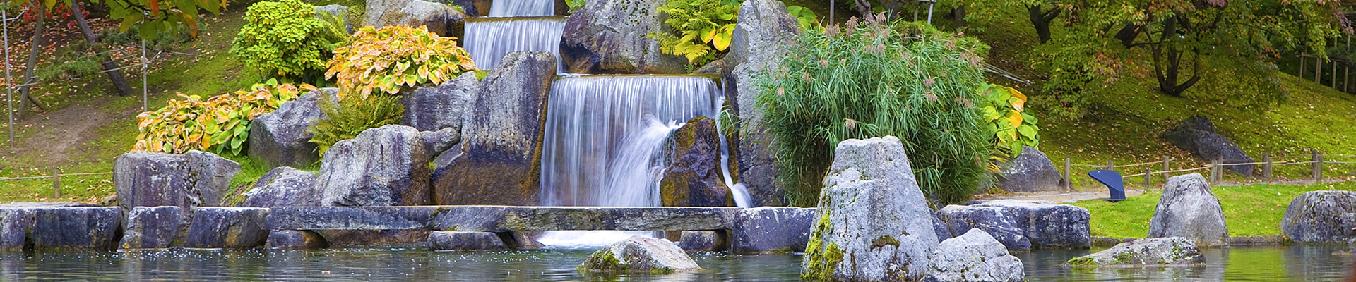 Header Image