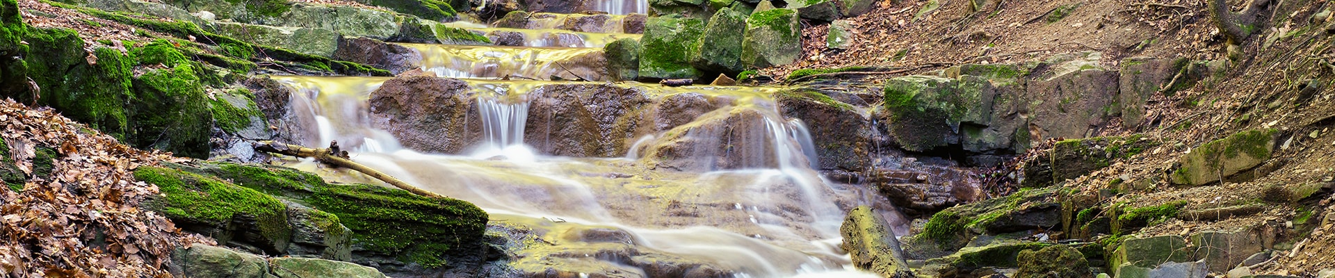 Header Image