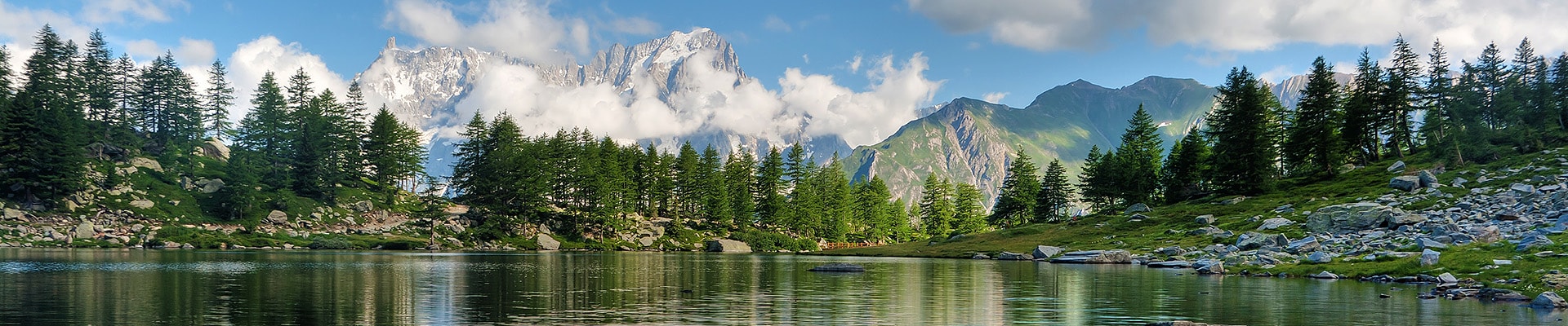 Header Image