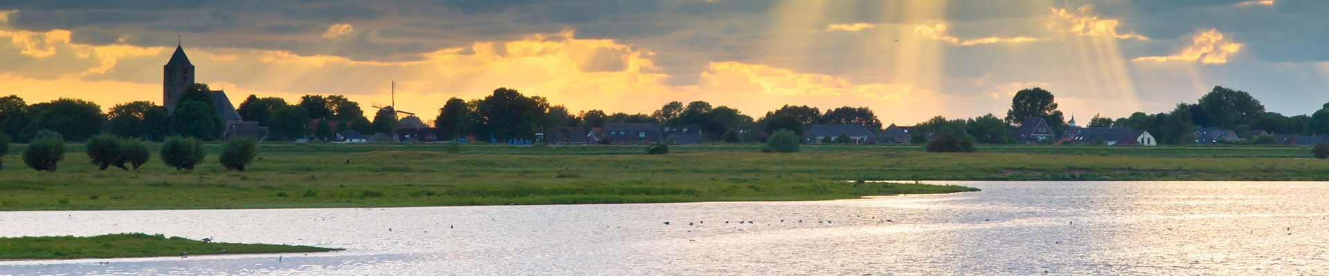 Header Image