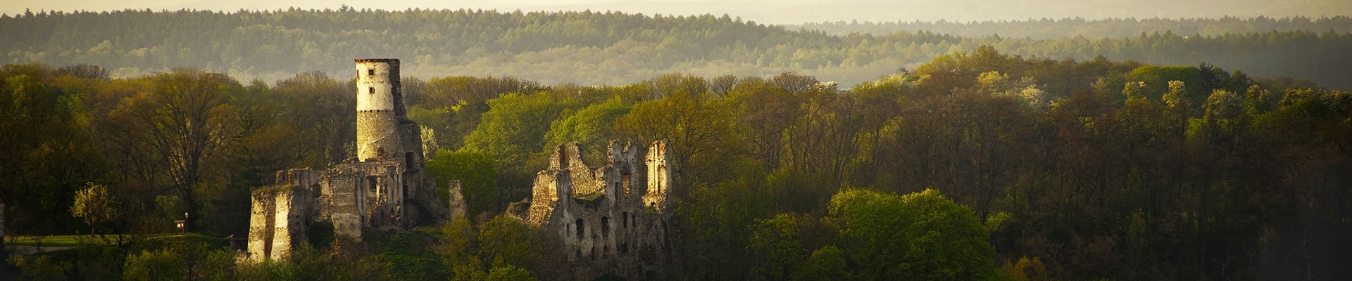 Header Image