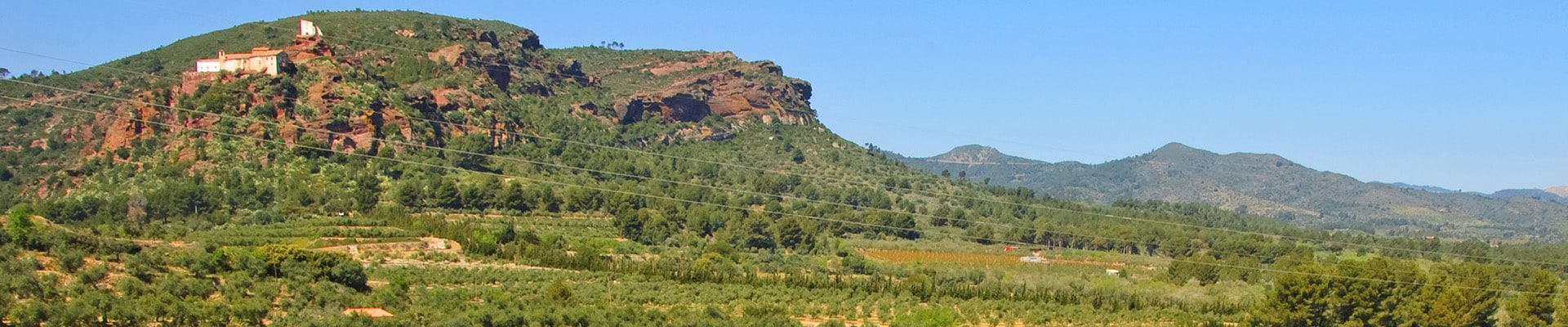 Header Image