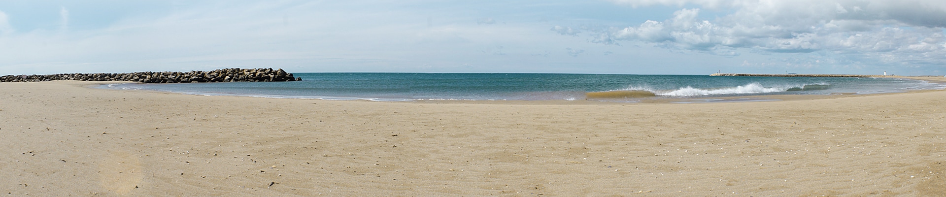 Header Image