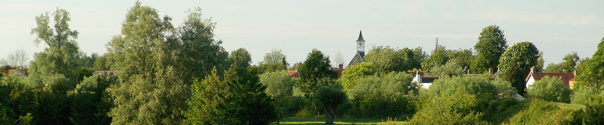 Header Image