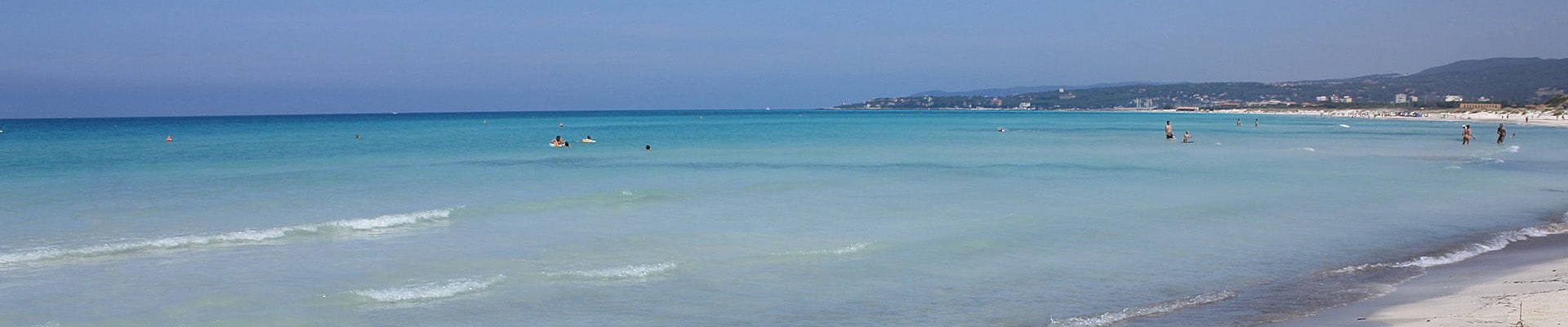 Header Image