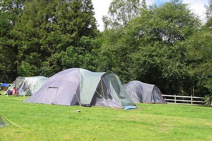 Beddgelert Forest C. & C. Site
