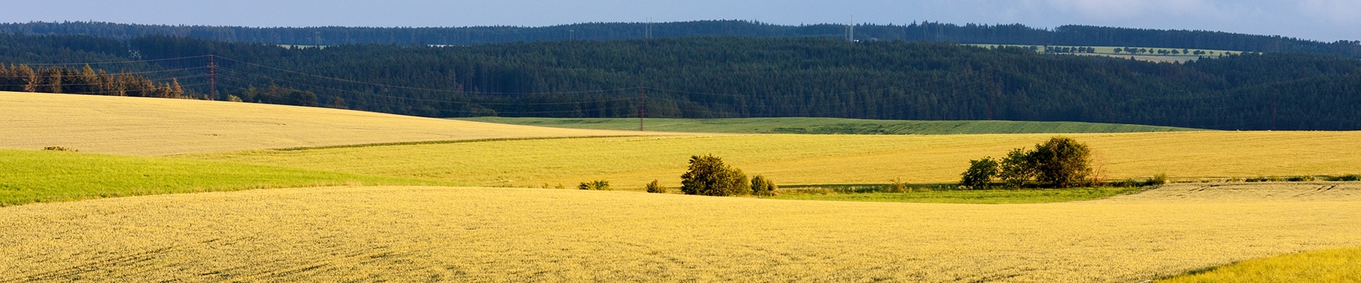 Header Image