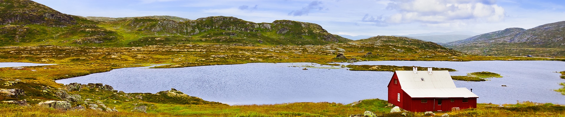 Header Image