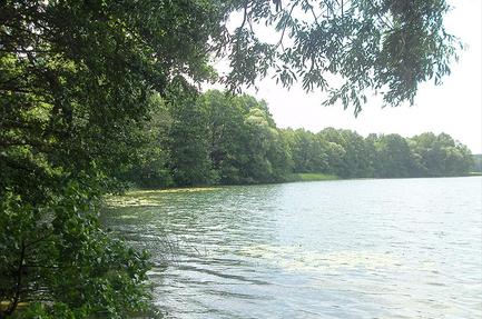 Camping Osetno