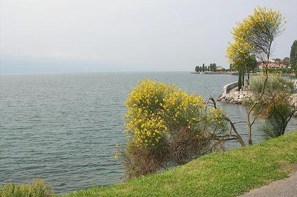 Camping De Moratel
