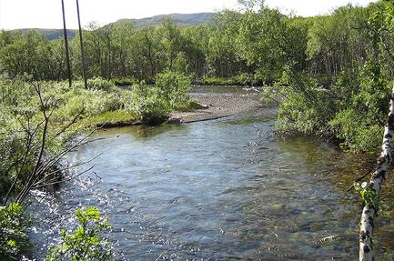 Ifjord Camping & Accomodation