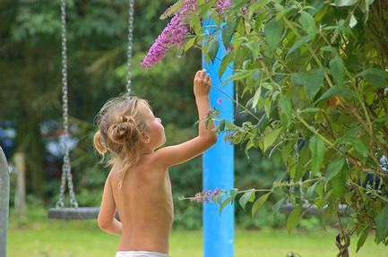Camping Buitengoed De Vlinderhoeve BV