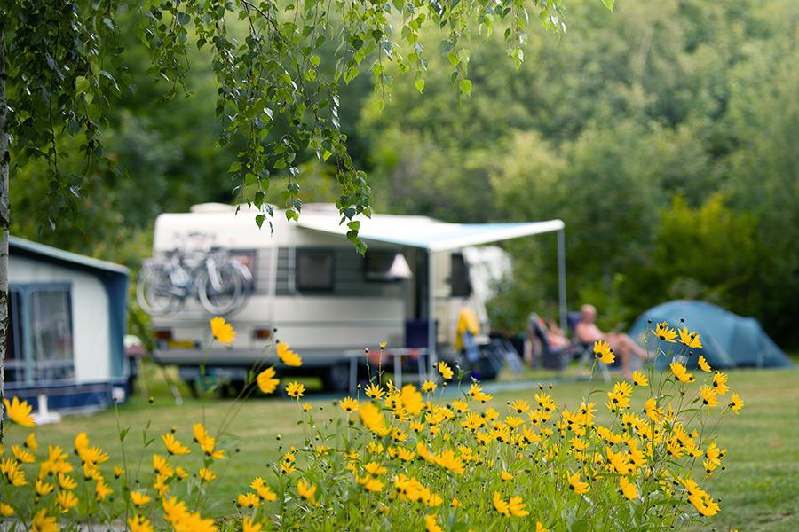 Campsite Domaine de la Gagère