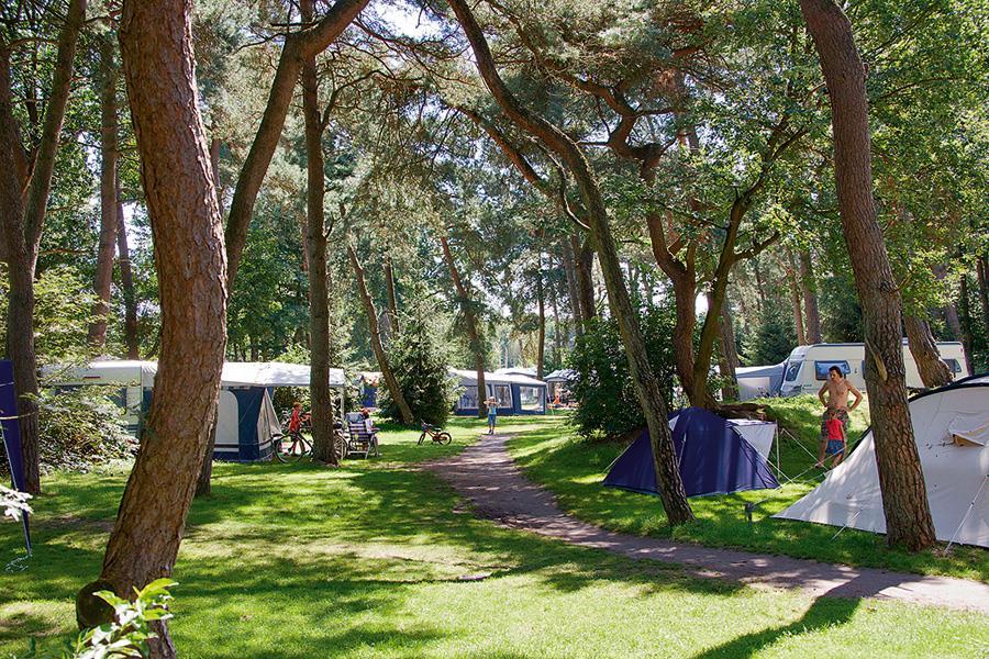 Camping Beerze Bulten