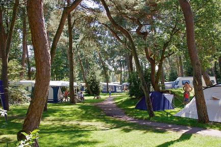 Campsite Beerze Bulten