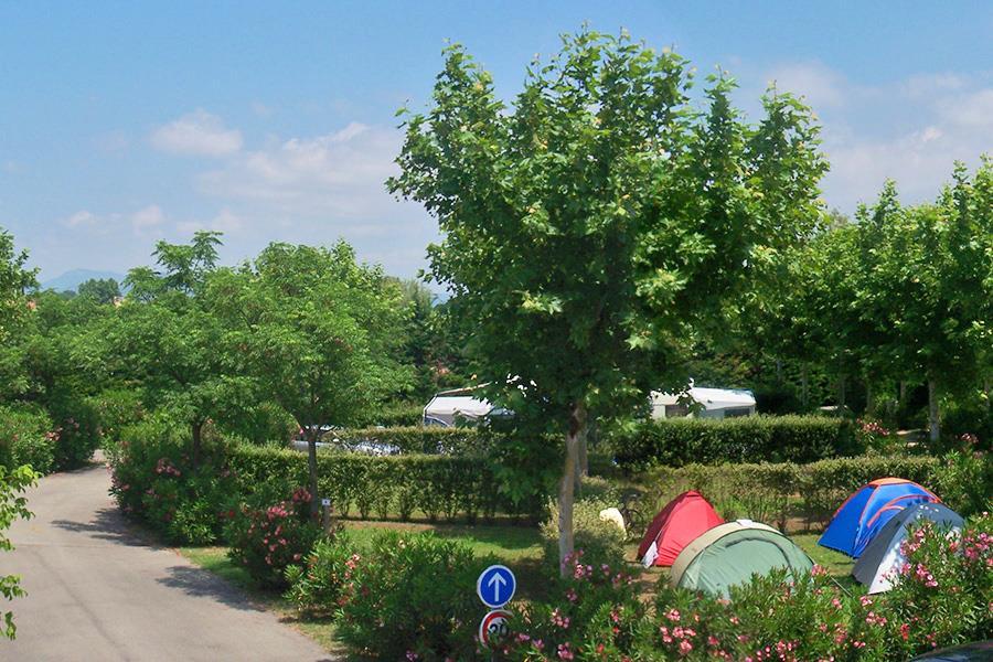 Camping Lou Comtadou