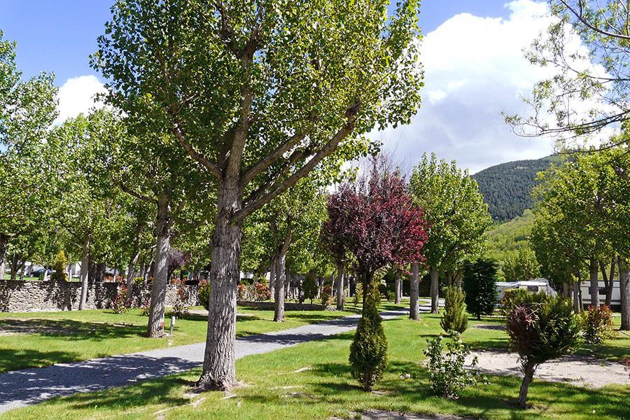 Campsite Las Closas
