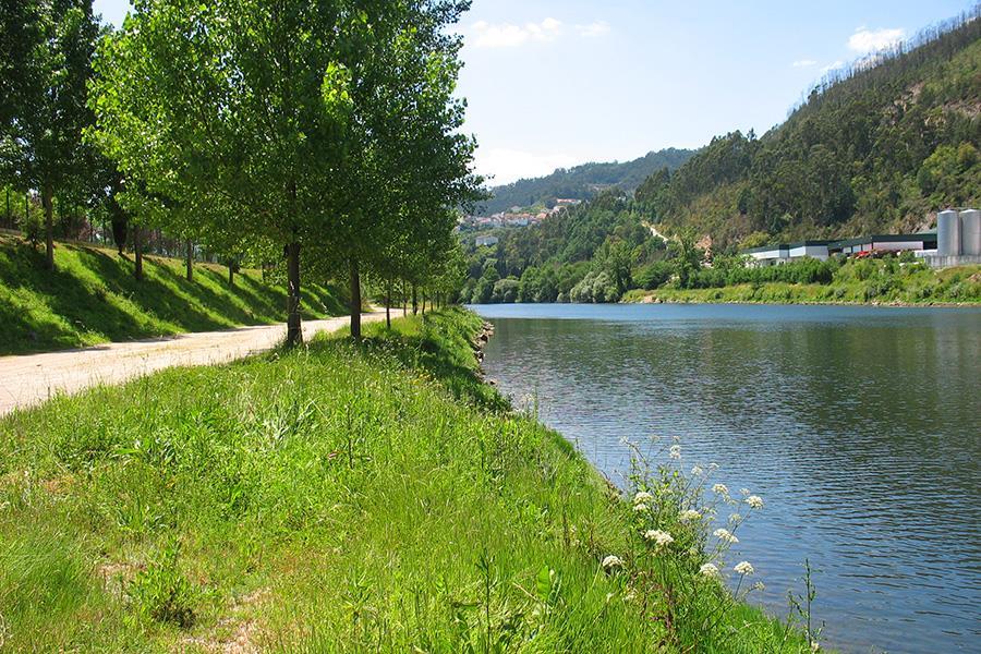 Parque Mun. de Camp. de Penacova
