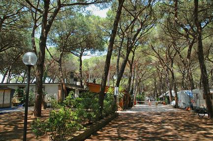 Campsite Pionier Etrusco