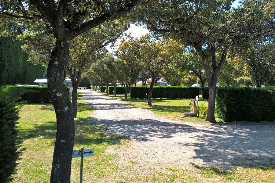 Camping des Favards