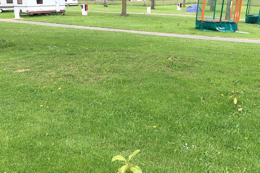 Camping Le Vieux Berger