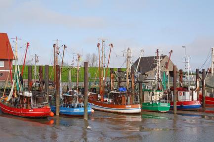 Knaus Camp.park Fedderwardersiel/Nordsee