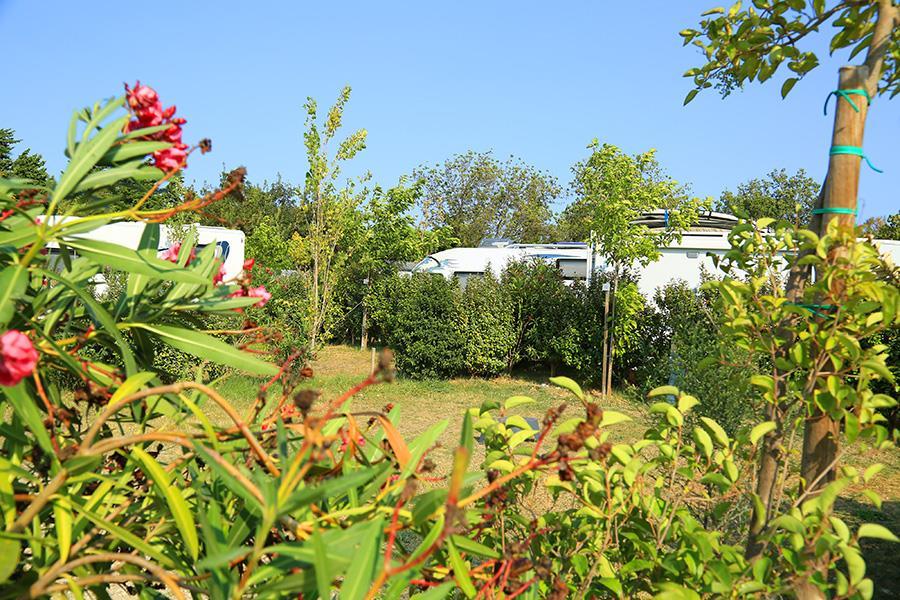 Flower Camping Domaine de La Palme