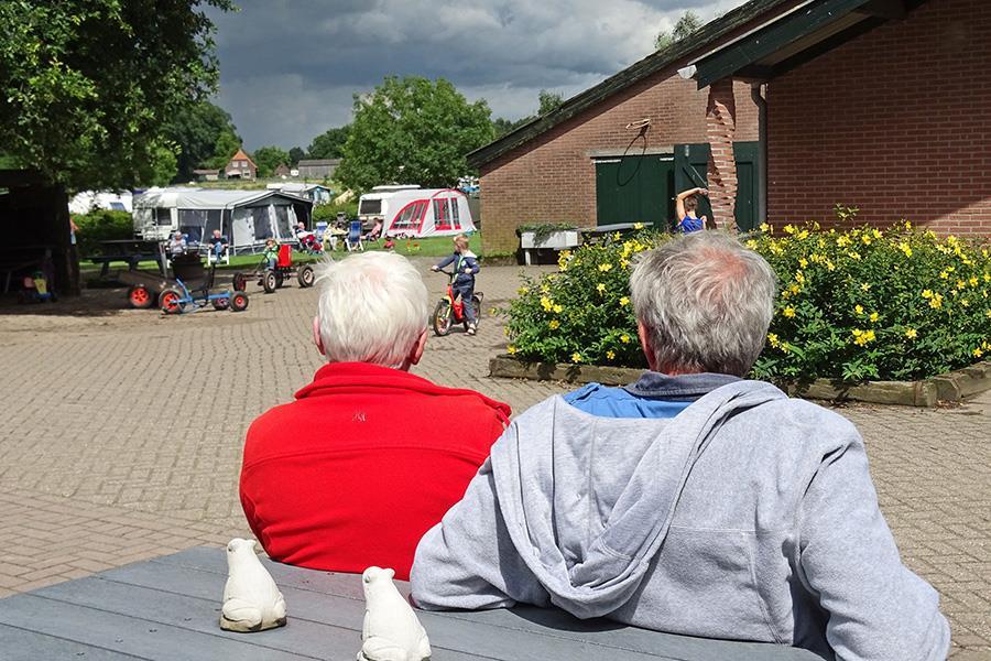 Campsite De Adelaar