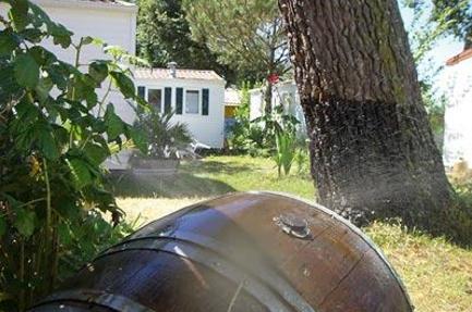 Campsite Le Marache Vacances