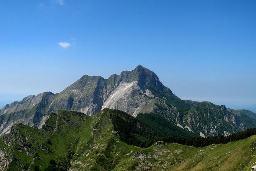 Bosco Verde Camping