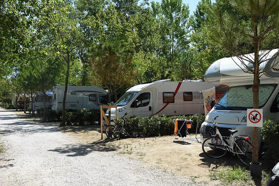 Bosco Verde Camping