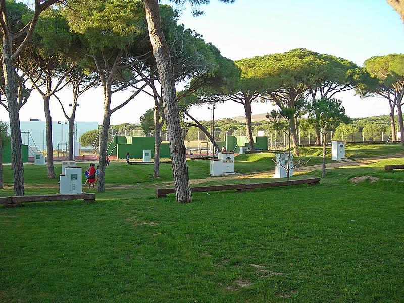 Camping Pinar San José