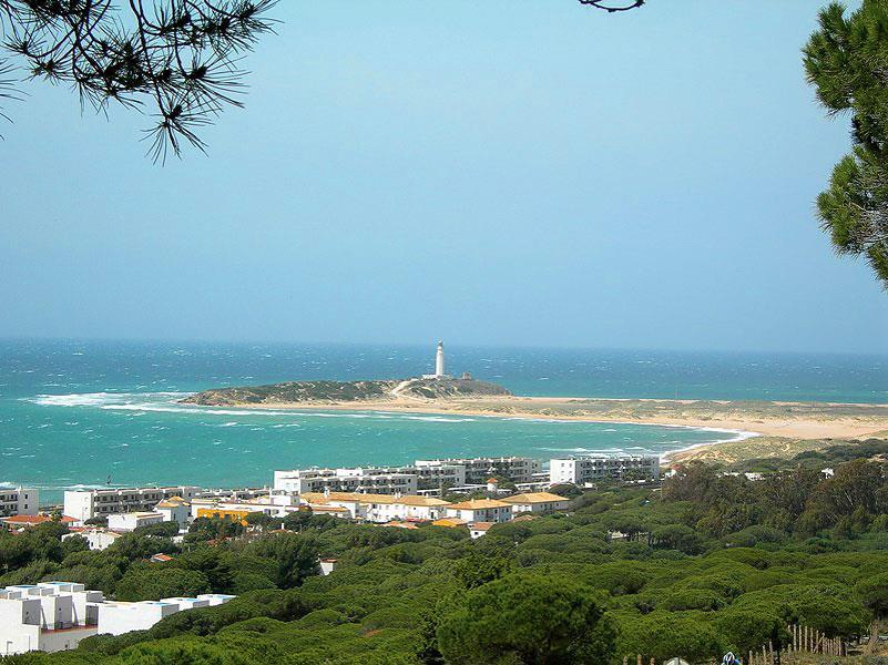 Camping Pinar San José