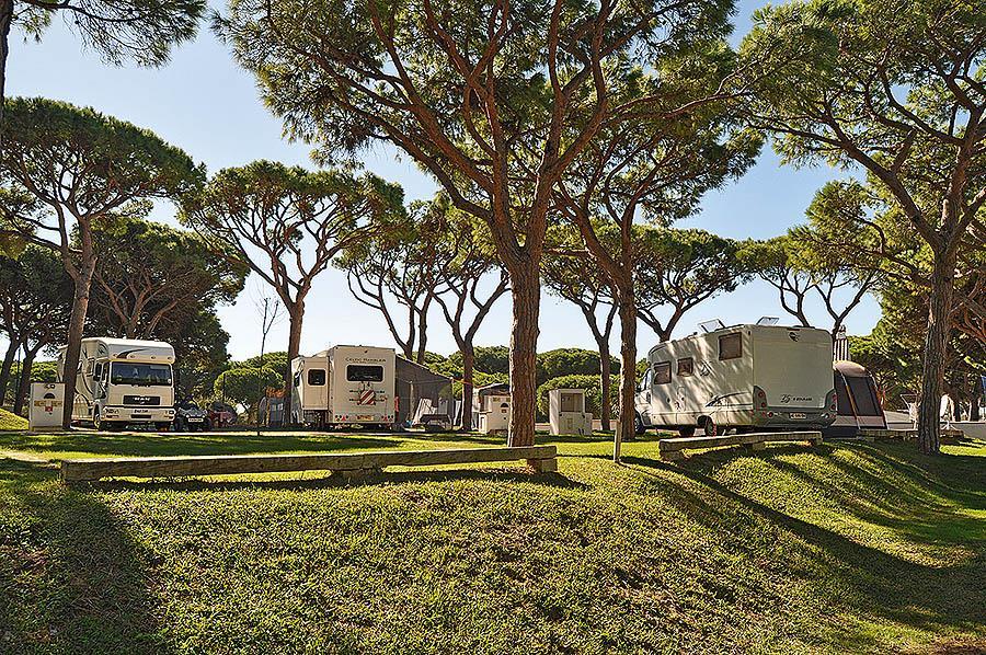 Camping Pinar San José