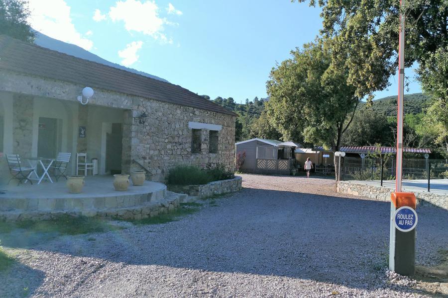 Camping e Canicce
