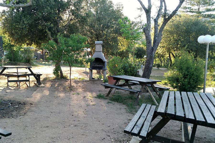 Camping e Canicce