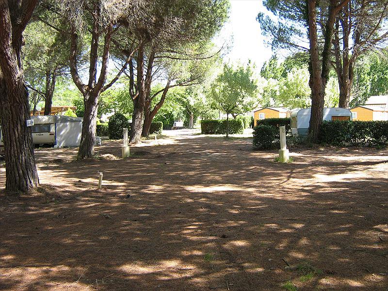 Camping de la Cesse