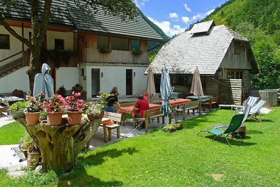 Kamp Jelincic