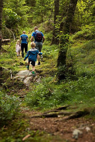 Ragnerudssjöns Camping & Stugby