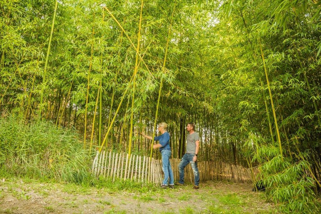 Camping Netl de Wildste Tuin in Kraggenburg Nederland ACSI