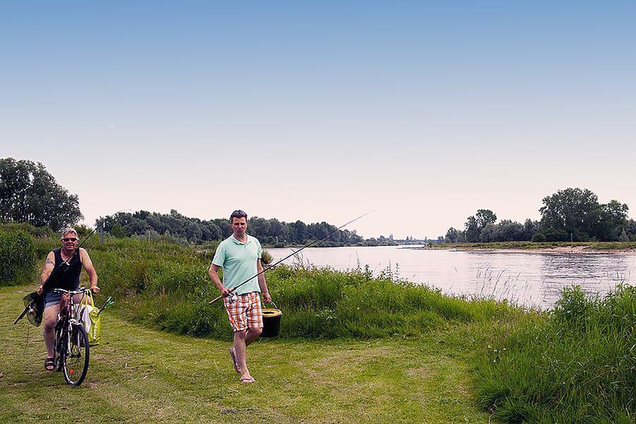 Campsite 't Haasje