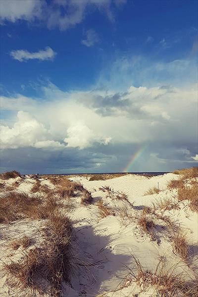 Regenbogen Ferienanlage Prerow