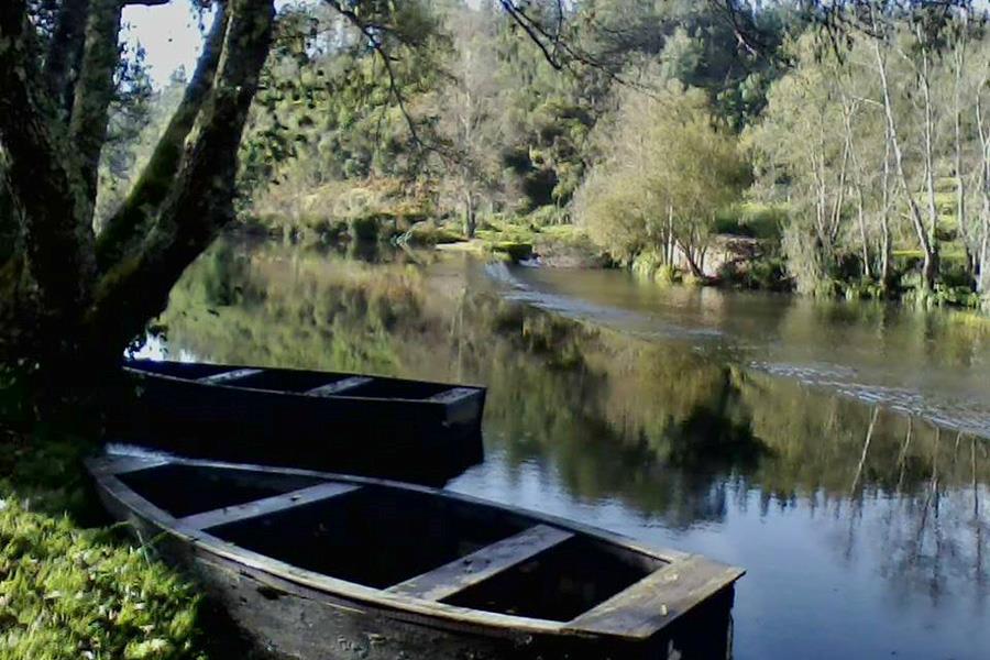 Parque Mun. de Camp. de Penacova