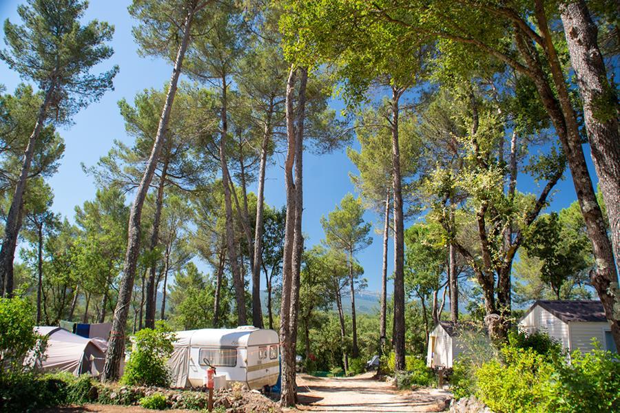 Flower Camping Le Provençal