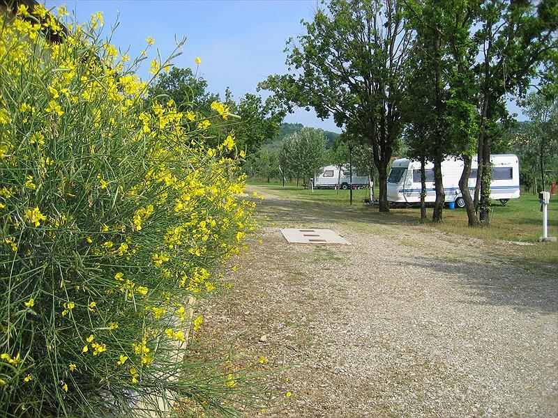 Campsite Villaggio Le Ginestre