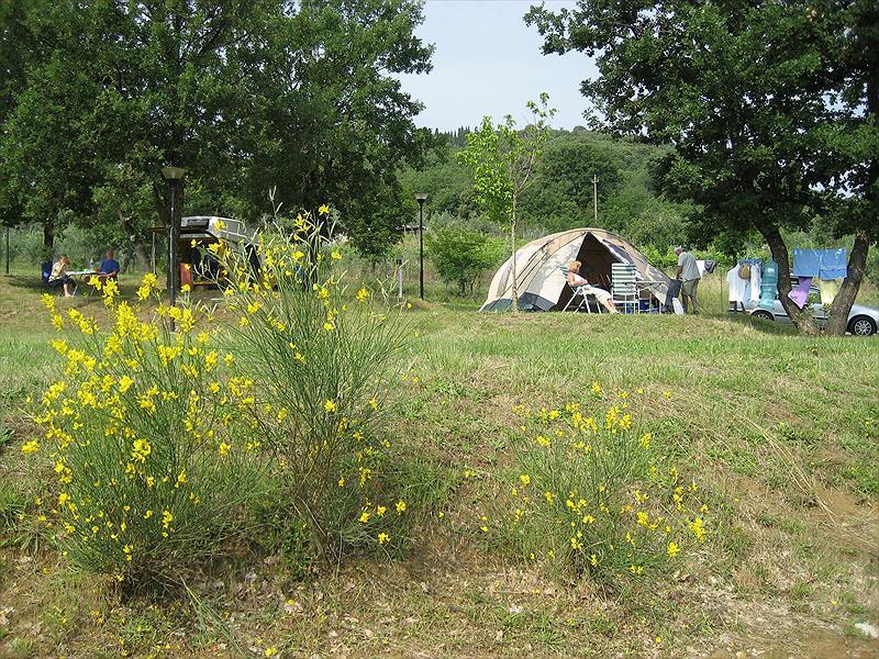 Campsite Villaggio Le Ginestre