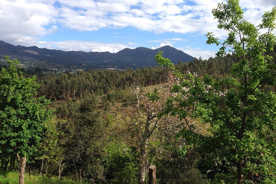Camping Quinta dos Moinhos