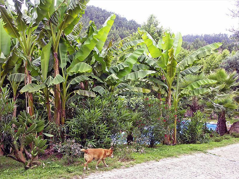 Camping Quinta dos Moinhos
